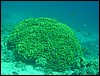 dsc00698.jpg