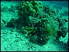 dsc00699.jpg