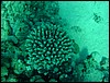 dsc00701.jpg