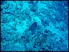 dsc00707.jpg