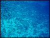 dsc00710.jpg