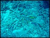 dsc00716.jpg