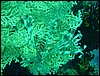 dsc00723.jpg