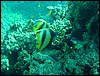 dsc00732.jpg
