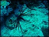 dsc00742.jpg