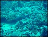 dsc00747.jpg
