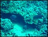 dsc00748.jpg