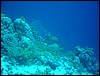 dsc00749.jpg