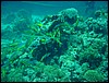 dsc00753.jpg
