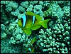 dsc00754.jpg
