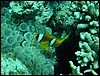 dsc00755.jpg
