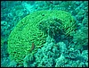 dsc00756.jpg