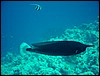 dsc00758.jpg
