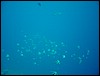 dsc00761.jpg