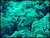 dsc00762.jpg