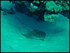 dsc00765.jpg