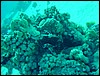 dsc00766.jpg