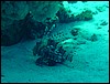 dsc00767.jpg