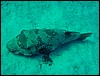 dsc00769.jpg