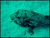dsc00770.jpg