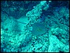 dsc00772.jpg