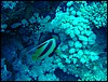 dsc00778.jpg