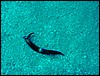 dsc00783.jpg