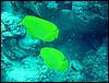 dsc00784.jpg