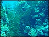 dsc00785.jpg