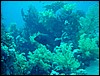 dsc00786.jpg