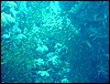 dsc00787.jpg