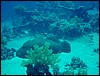 dsc00789.jpg