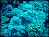dsc00792.jpg