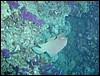 dsc00801.jpg