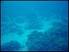 dsc00803.jpg