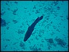 dsc00806.jpg
