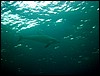dsc00810_exposure.jpg