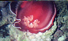 foto04.jpg