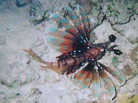 foto05.jpg