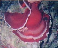 foto08.jpg
