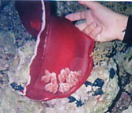 foto09.jpg