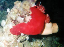 foto11.jpg