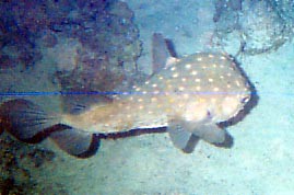 foto12.jpg