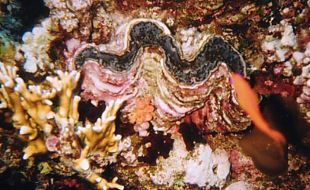 foto13.jpg