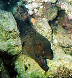 foto16.jpg