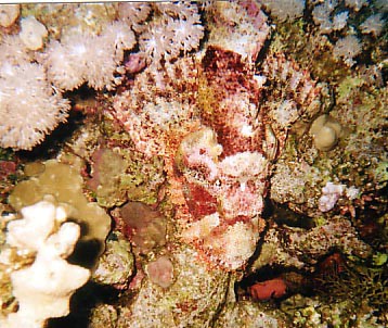 foto19.jpg