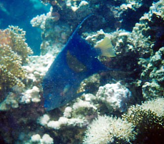 foto34.jpg