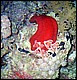 foto10.jpg