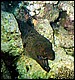 foto16.jpg