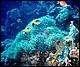 foto18.jpg
